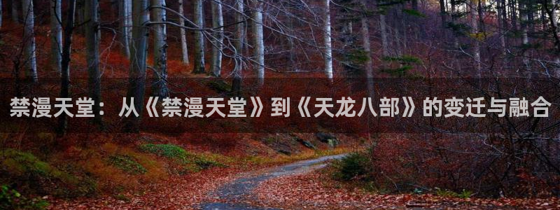在线动画动漫下载yy漫画：禁漫天堂：从《禁漫天堂》到《天龙八部》的变迁与融合