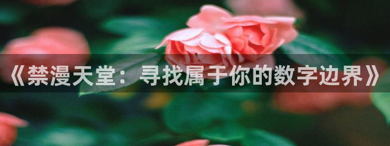 yy漫画网下载：《禁漫天堂：寻找属于你的数字边界》