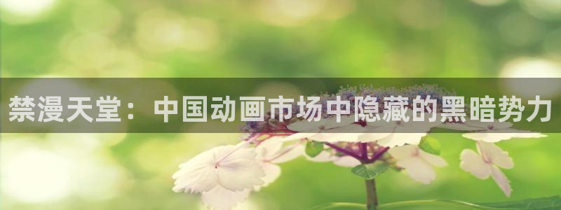 volcanicage漫画：禁漫天堂：中国动画市场中隐藏的黑暗势力
