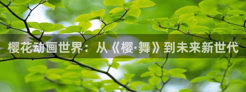 yy漫画网下载：樱花动画世界：从《樱·舞》到未来新世代