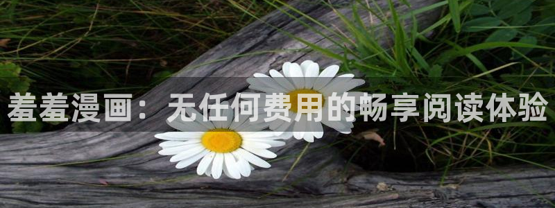 kakaopage韩漫官网：羞羞漫画：无任何费用的畅享阅读体验