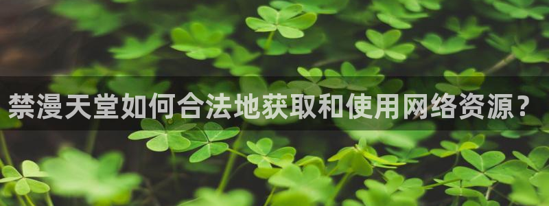 age漫画网：禁漫天堂如何合法地获取和使用网络资源？