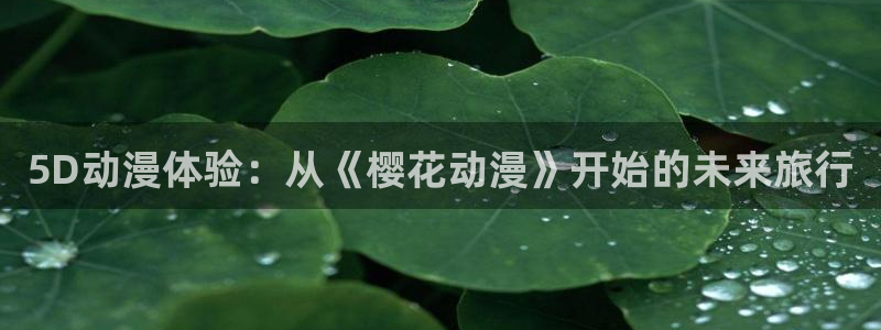yy漫画官网入口老版本：5D动漫体验：从《樱花动漫》开始的未来旅行