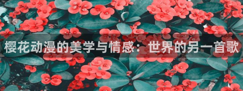 在线动画动漫下载yy漫画：樱花动漫的美学与情感：世界的另一首歌