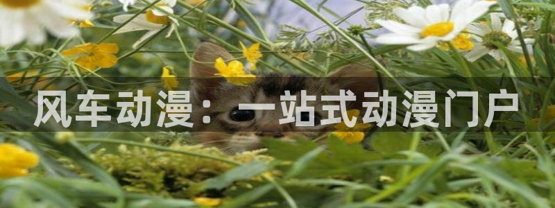 age樱花动漫：风车动漫：一站式动漫门户