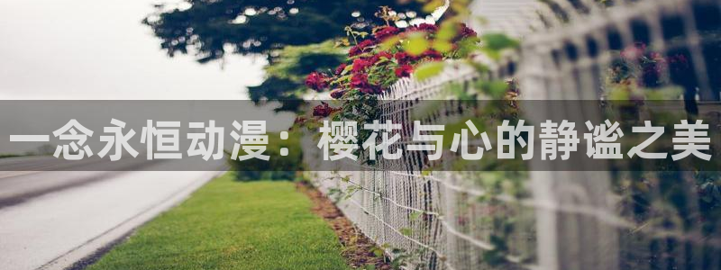 managereader漫画官网入口：一念永恒动漫：樱花与心的静谧之美