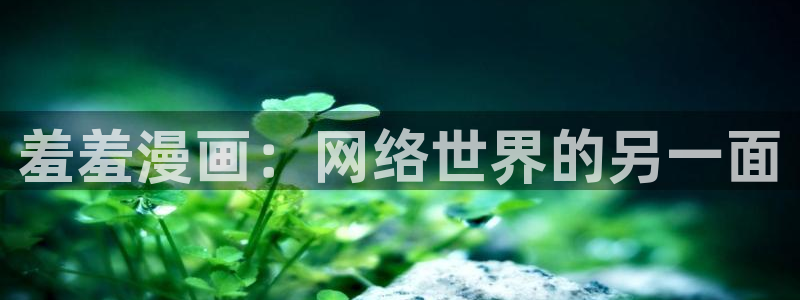 在线动画动漫下载yy漫画：羞羞漫画：网络世界的另一面