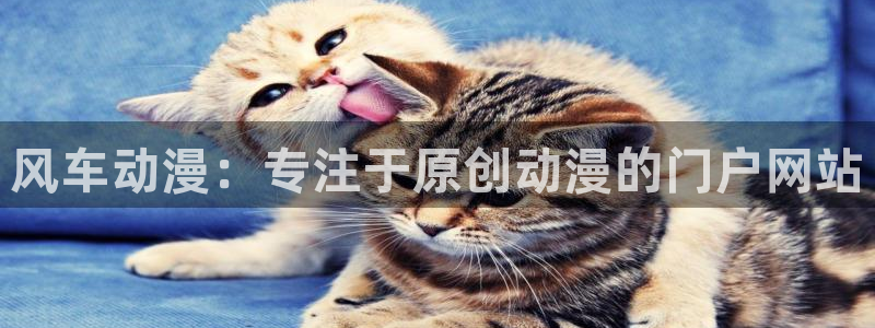 managereader漫画官网入口