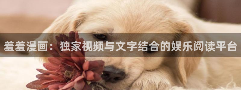 colamanage漫画官网：羞羞漫画：独家视频与文字结合的娱乐阅读平台