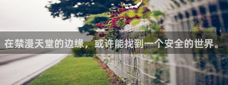 age专注动漫的门户网站：在禁漫天堂的边缘，或许能找到一个安全的世界。