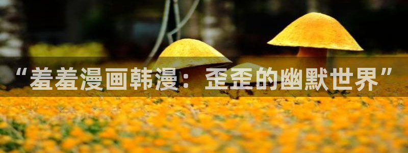 kakaopage韩漫官网：“羞羞漫画韩漫：歪歪的幽默世界”