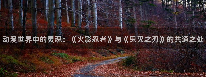 colamanage漫画官网：动漫世界中的灵魂：《火影忍者》与《鬼灭之刃》的共通之处
