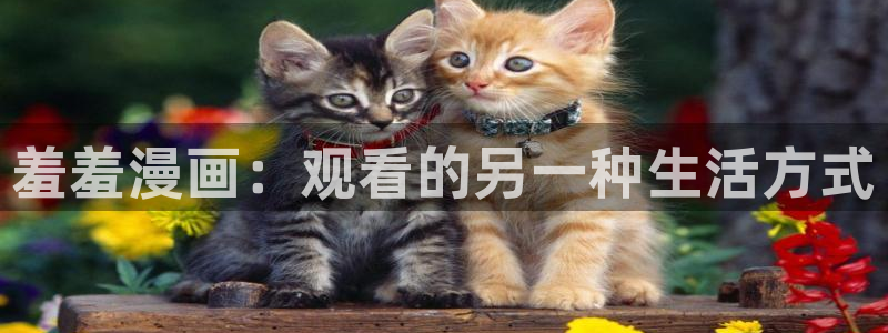 yy漫画下载入口：羞羞漫画：观看的另一种生活方式